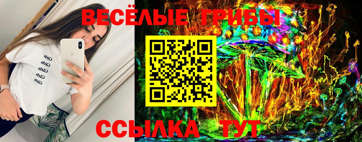 Псилоцибиновые грибы Cubensis  Вход с VPN  Гудермес  где купить наркотик  Галлюциногенные грибы Psilocybine cubensis 