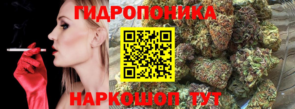 Каннабис конопля Гудермес