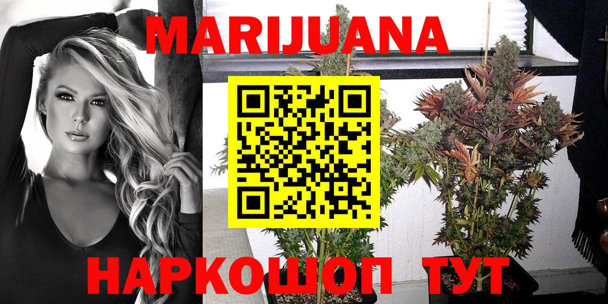 Шишки марихуана гибрид  Вход с VPN  Шишки марихуана OG Kush  Марихуана семена  Гудермес  МАРИХУАНА семена 